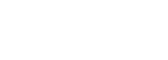 Microsoft_Partner txt Scalo