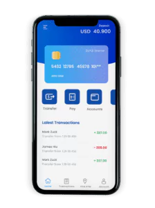 personal finance app visualization